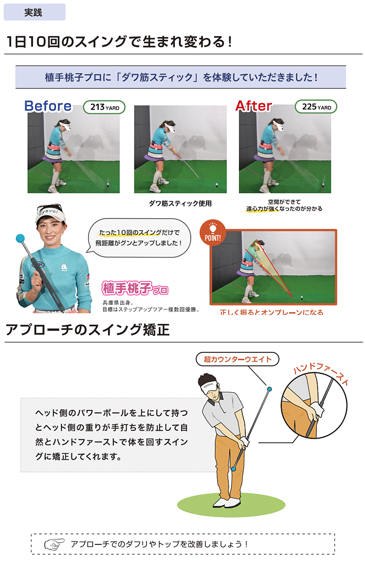 DAWAKIN スティック Lynx リンクス正規品 ダワキン スティック スタンダードタイプ