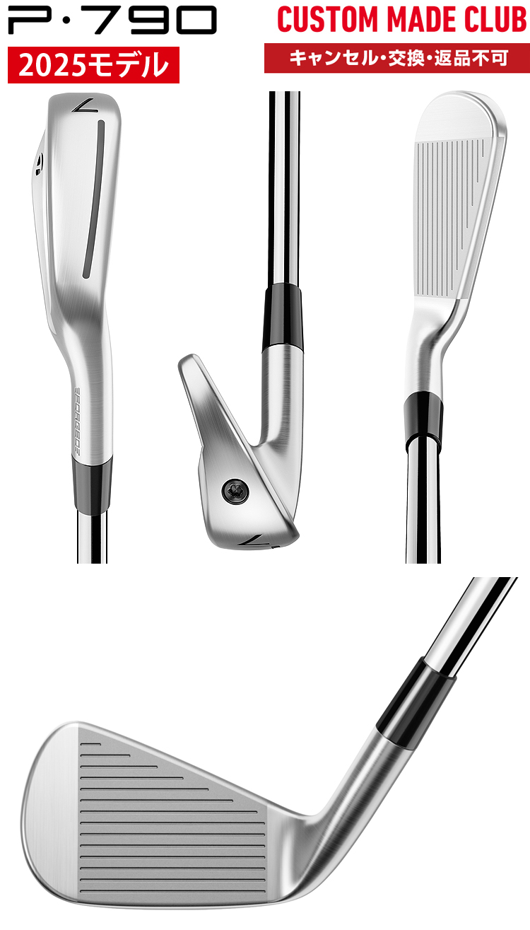 TaylorMade P790アイアン NSPRO MODUS3 TOUR115スチールシャフト