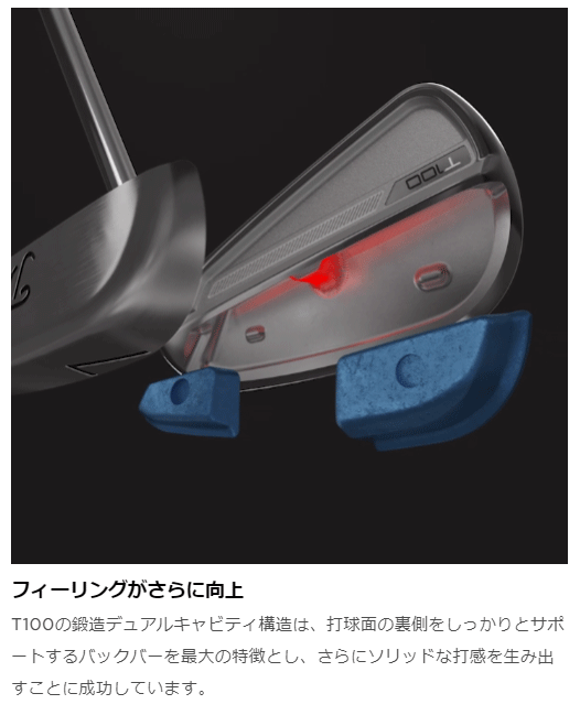 Titleist（タイトリスト） 日本正規品 T100 アイアン スチールシャフト