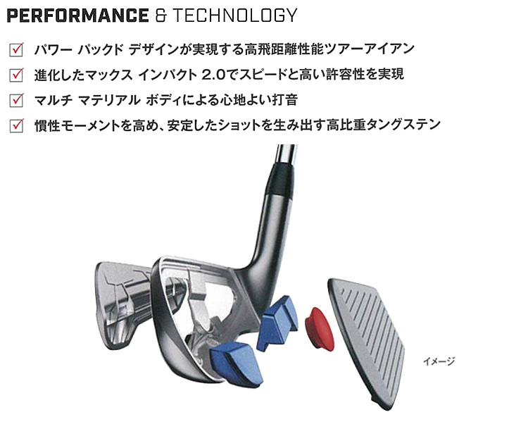 Titleist タイトリスト日本正規品 T200アイアン NSPRO105T