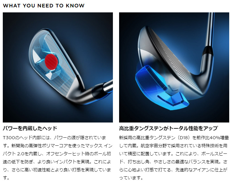 Titleist（タイトリスト） タイトリスト日本正規品 T300アイアン