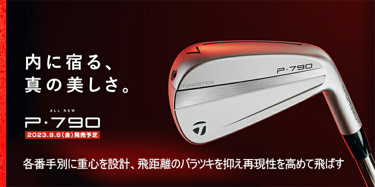 テーラーメイド2024P790アイアン5番からP project X6.0