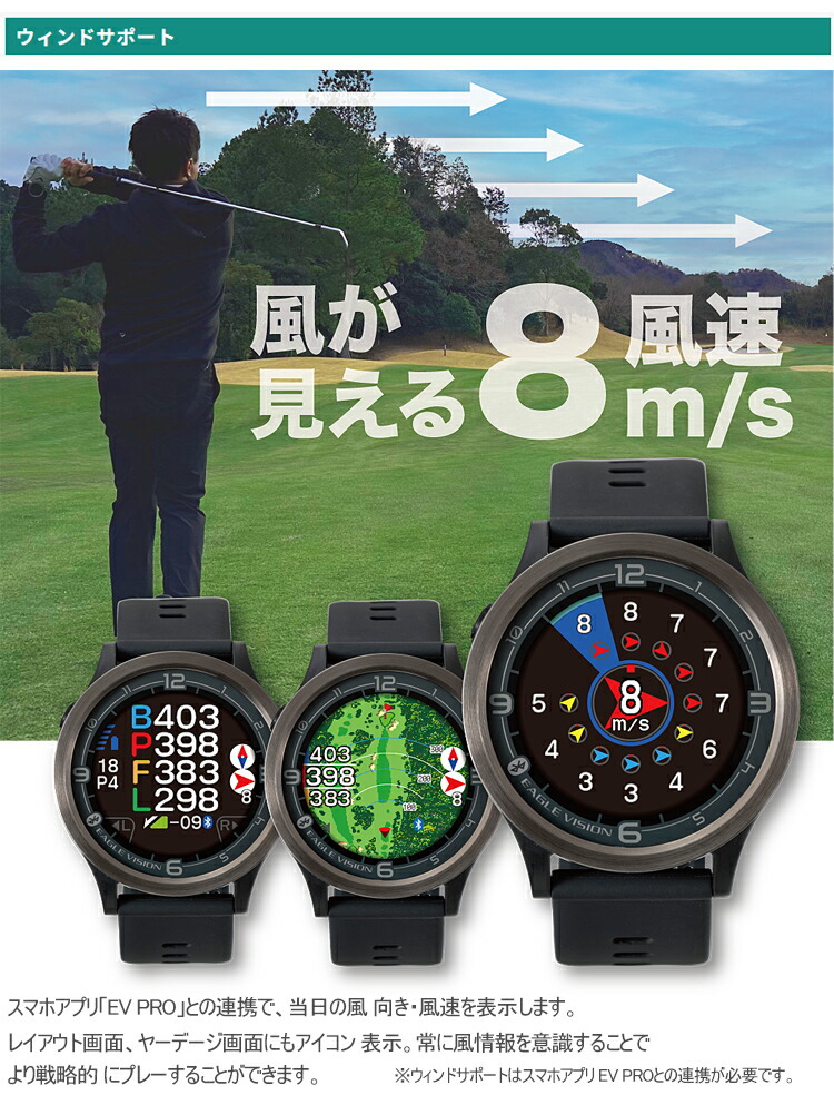 EAGLE VISION イーグルビジョン エース プロ 風が見えるウィンド