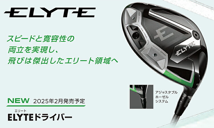 Callaway（キャロウェイ） ゴルフ エリート ドライバー TENSEI GREEN