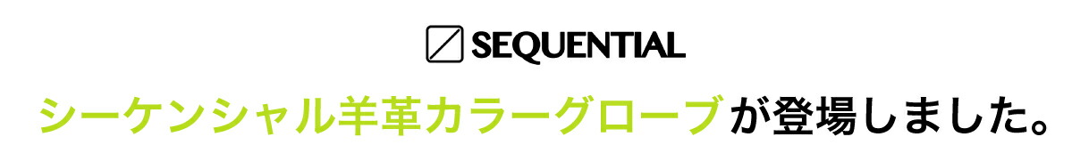 シーケンシャル羊革カラーグローブが登場しました。
