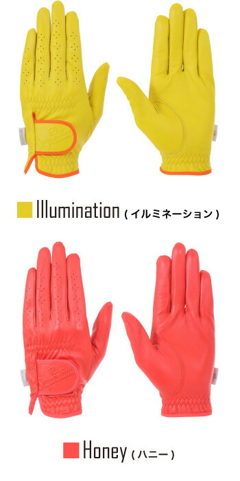 Illumination（イルミネーション）Honey（ハニー）