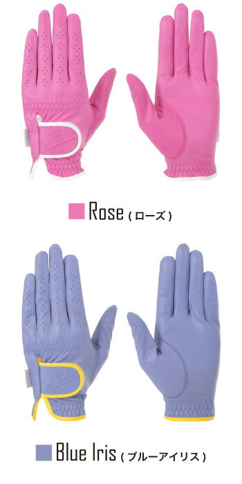 Rose（ローズ）Blue Iris（ブルーアイリス）