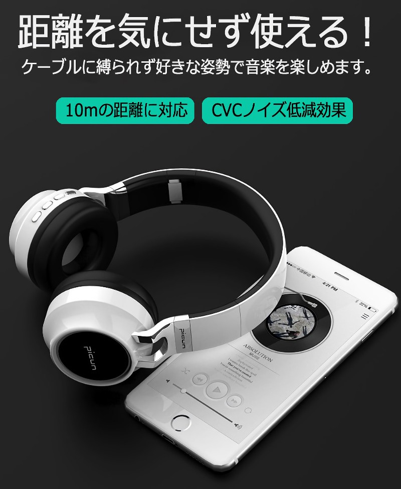 石君専用　ヘッドホン2点セット jx-picun-p60.jpg