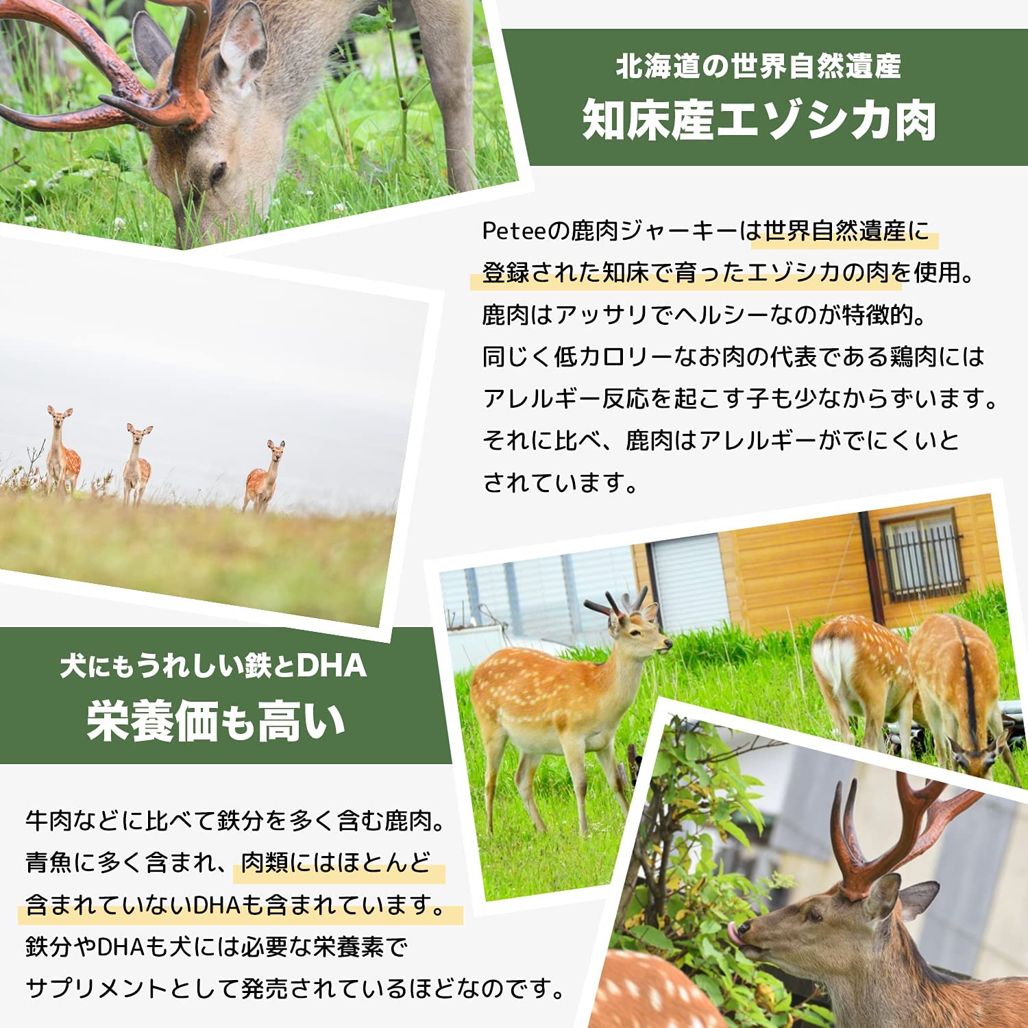 犬用 ジャーキー エゾシカ 2袋セット ドッグフード 北海道産 おやつ