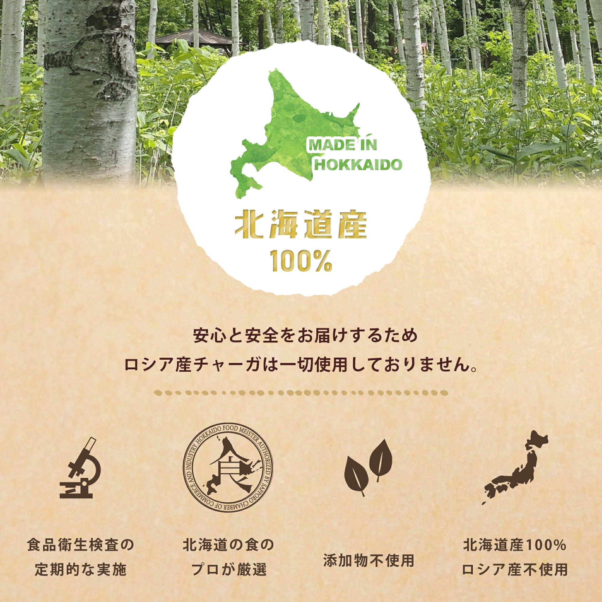 カバノアナタケ茶