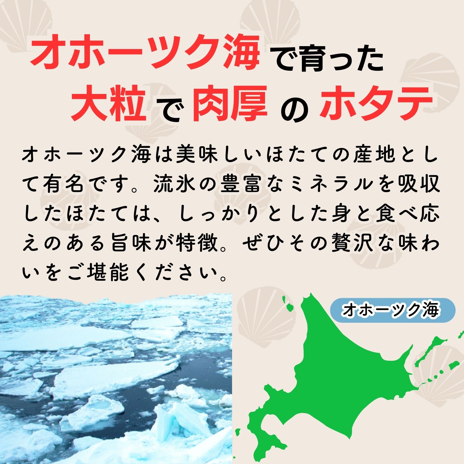 ホタテ貝柱旨出汁
