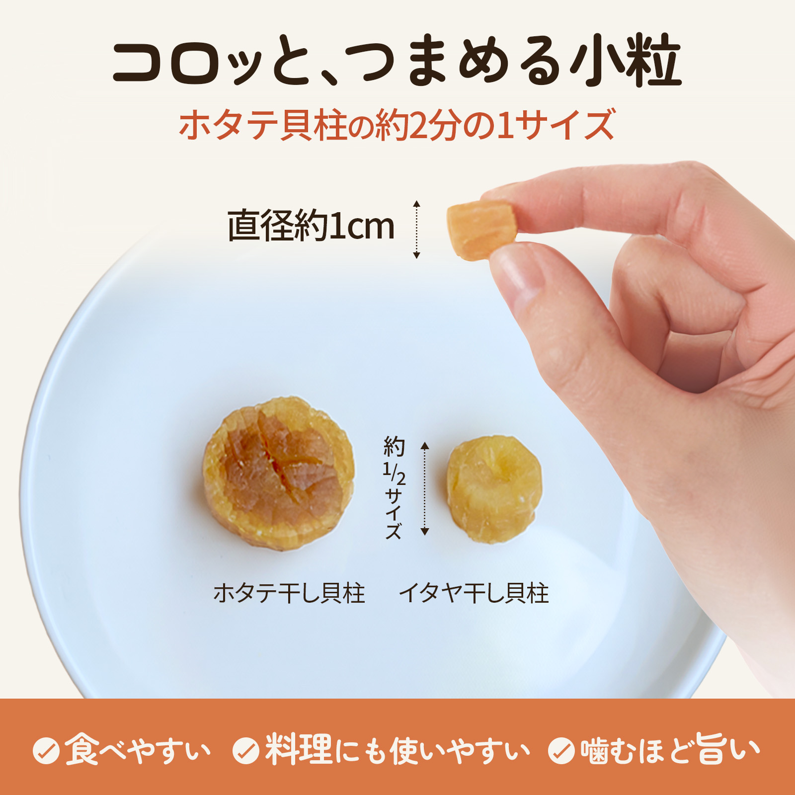 干し貝柱 イタヤ貝