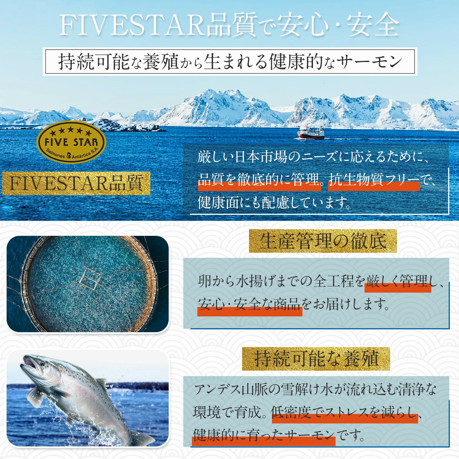 トラウトサーモン刺身用