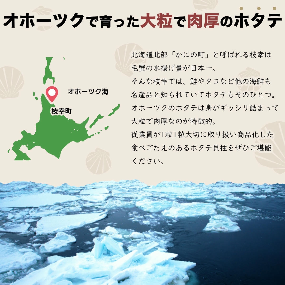 ホタテ干し貝柱SAサイズ