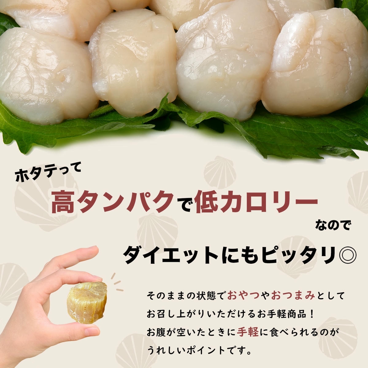 ホタテ干し貝柱SAサイズ