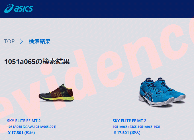 ASICS（アシックス） SKY ELITE FF MT 2 1051A065-403 メンズシューズ