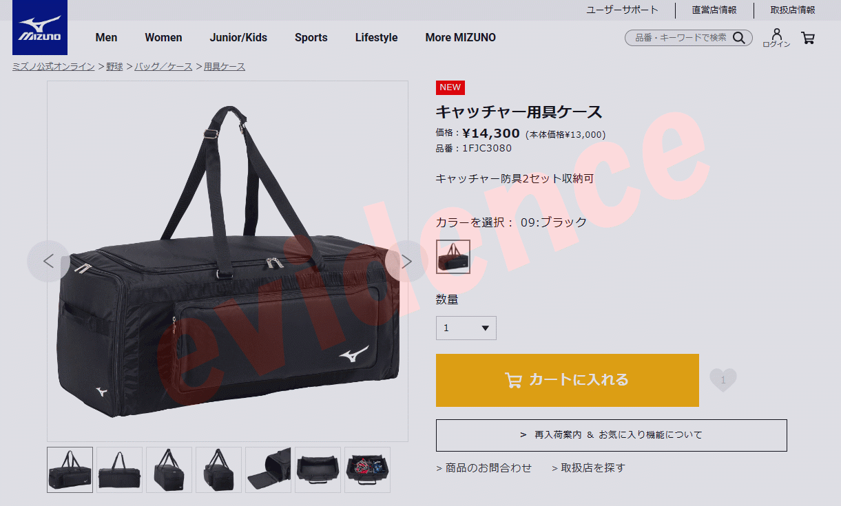 ミズノ キャッチャー用具ケース 1FJC308009 :1fjc308009:イーゾーン スポーツ 通販 