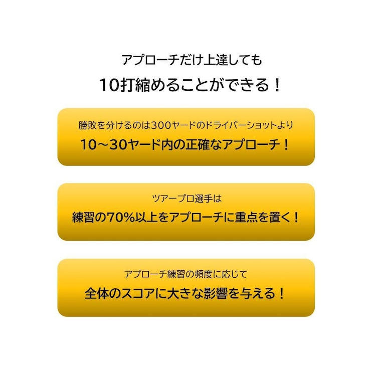 エジソンゴルフ TMAX CHIP BUDDY アプローチ達人Pro 練習用ゴルフ