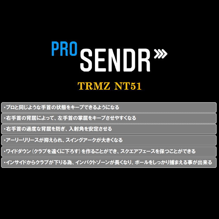 ヤマニ ゴルフ ProSENDR プロセンダー TRMZNT51 スイング練習器 2023