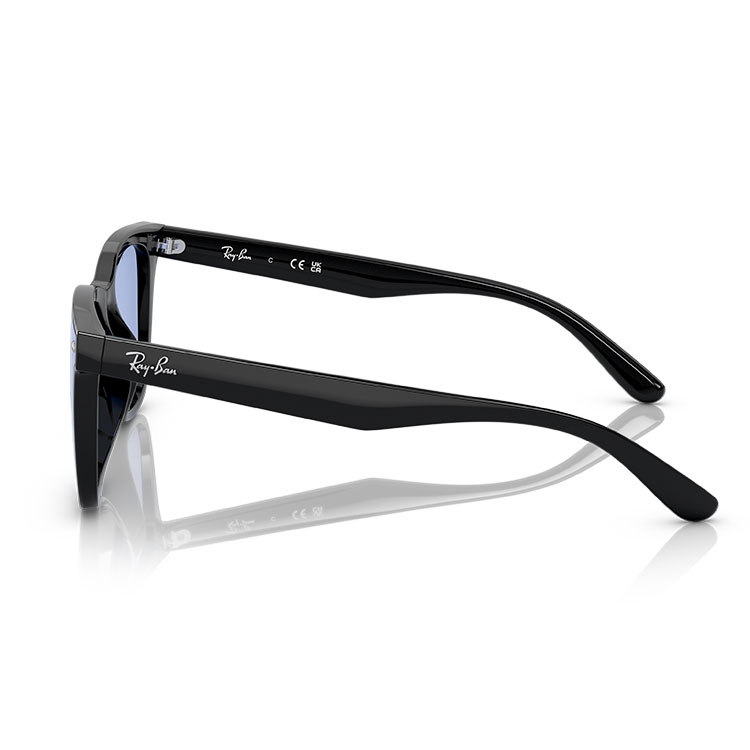 Ray-Ban（レイバン） サングラス RB4391D Ray-Ban RB4391D 601/80 65
