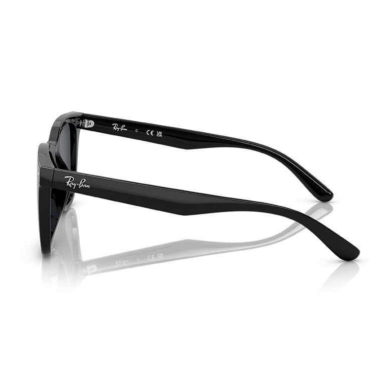 Ray-Ban（レイバン） サングラス RB4391D Ray-Ban RB4391D 601/87 65