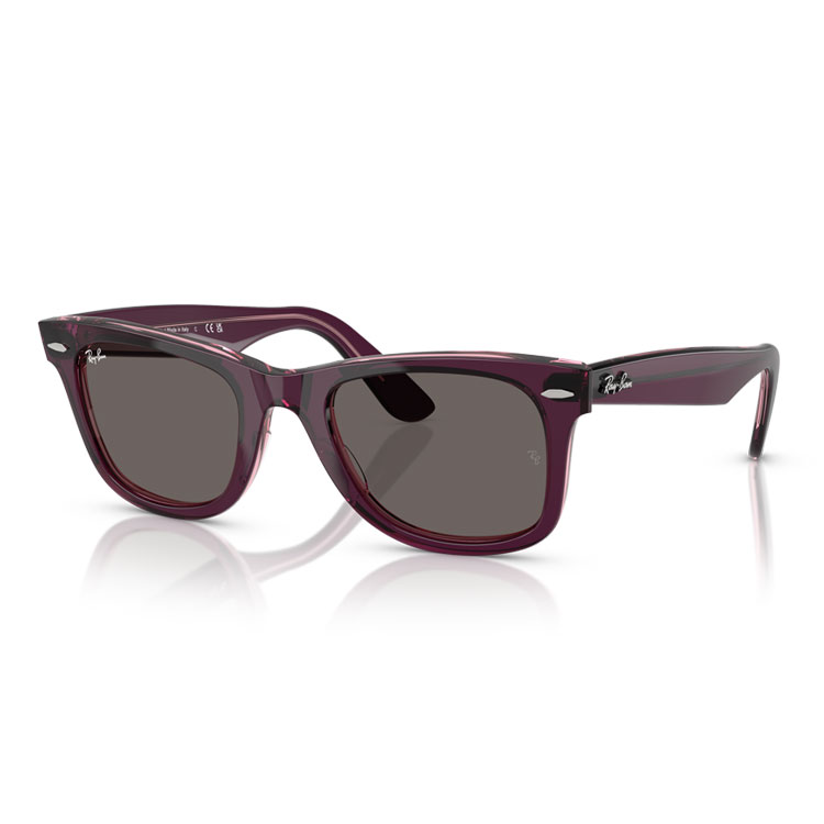 Ray-Ban サングラス　ウェイファーラー　クラシック 301980251330-06_2.jpg