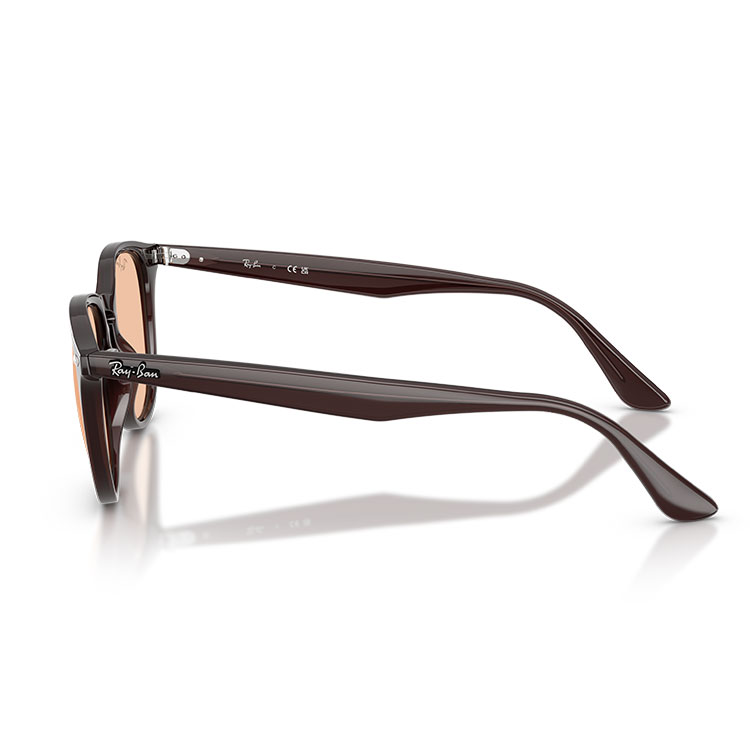 Ray-Ban（レイバン） サングラス RB4259 Ray-Ban RB4259F 623193 50 20