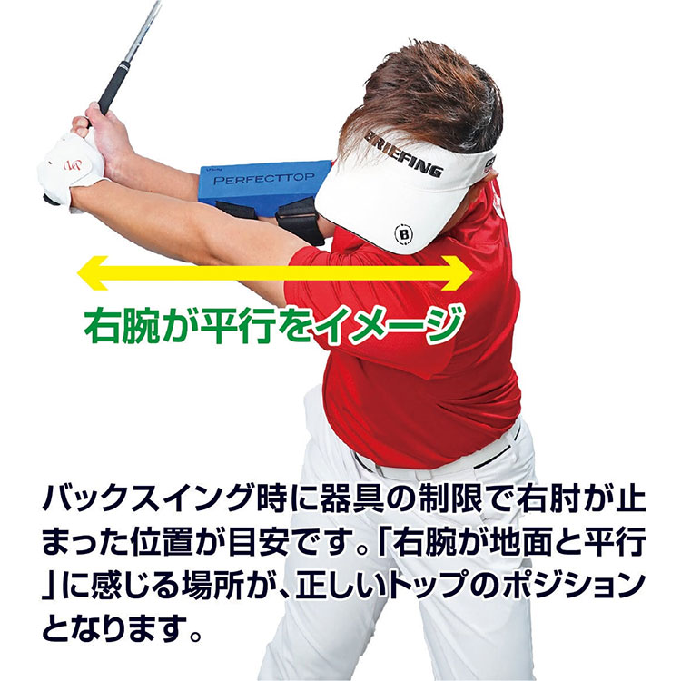 LPスイング パーフェクト トップ PERFECT TOP ゴルフ スイング練習器