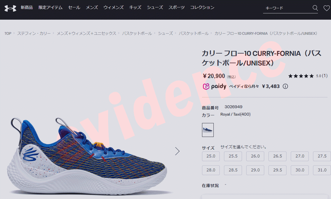 UNDER ARMOUR（アンダーアーマー） カリー フロー10 CURRY-FORNIA