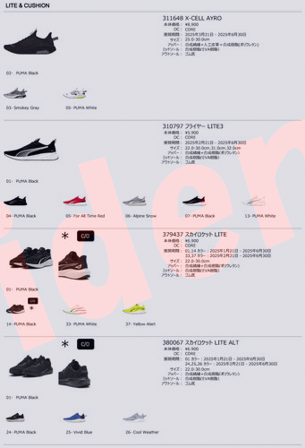 PUMA（プーマ） フライヤー LITE3 310797-04 メンズシューズ