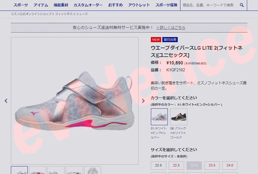 ミズノ MIZUNO ウエーブダイバースLG LITE 2(フィットネス) メンズ