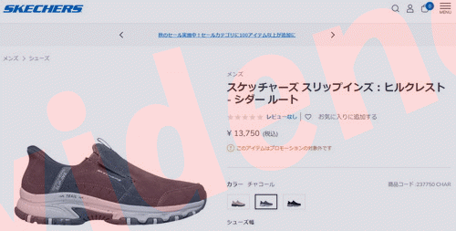 ピッチャー SKECHERS（スケッチャーズ） HILLCREST-CEDAR ROOT 237750-CHAR メンズ