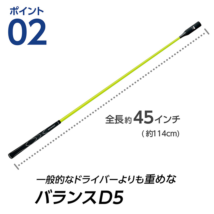 DAIYA（ダイヤ） ゴルフ ダイヤスイング プロツアー スイング練習器 TR