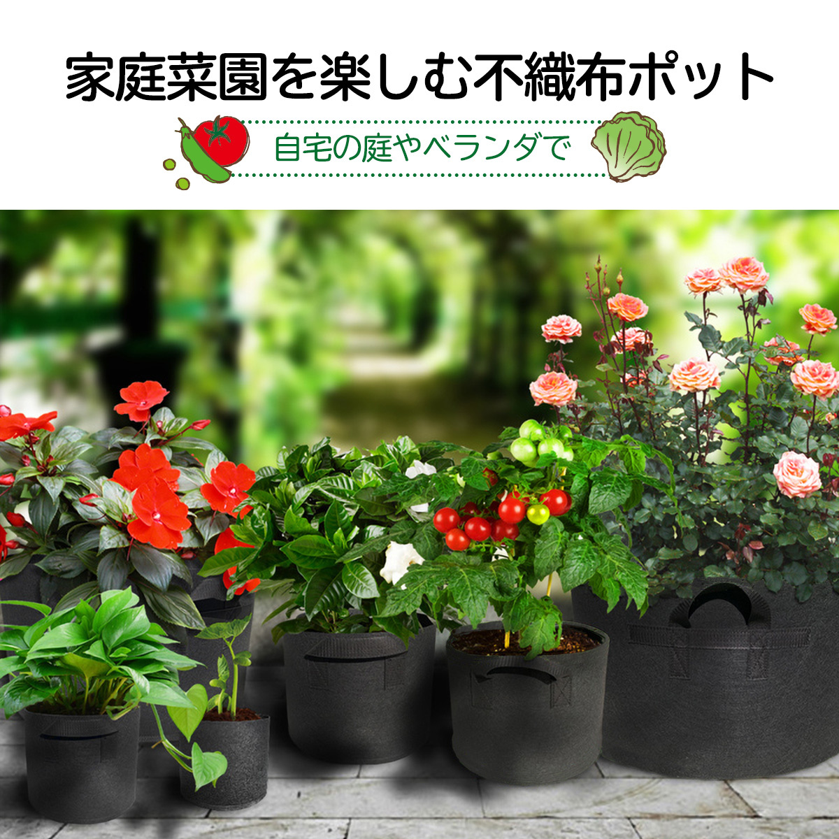 プランター 植木鉢 10ガロン 14号 ガーデニング 不織布ポット 家庭菜園 造園ポッド 野菜 鉢植え 栽培 野菜 果物 栽培 大型 大容量  プレゼント ギフト 送料無料 :fusyokufu10:EZONE - 通販 - Yahoo!ショッピング