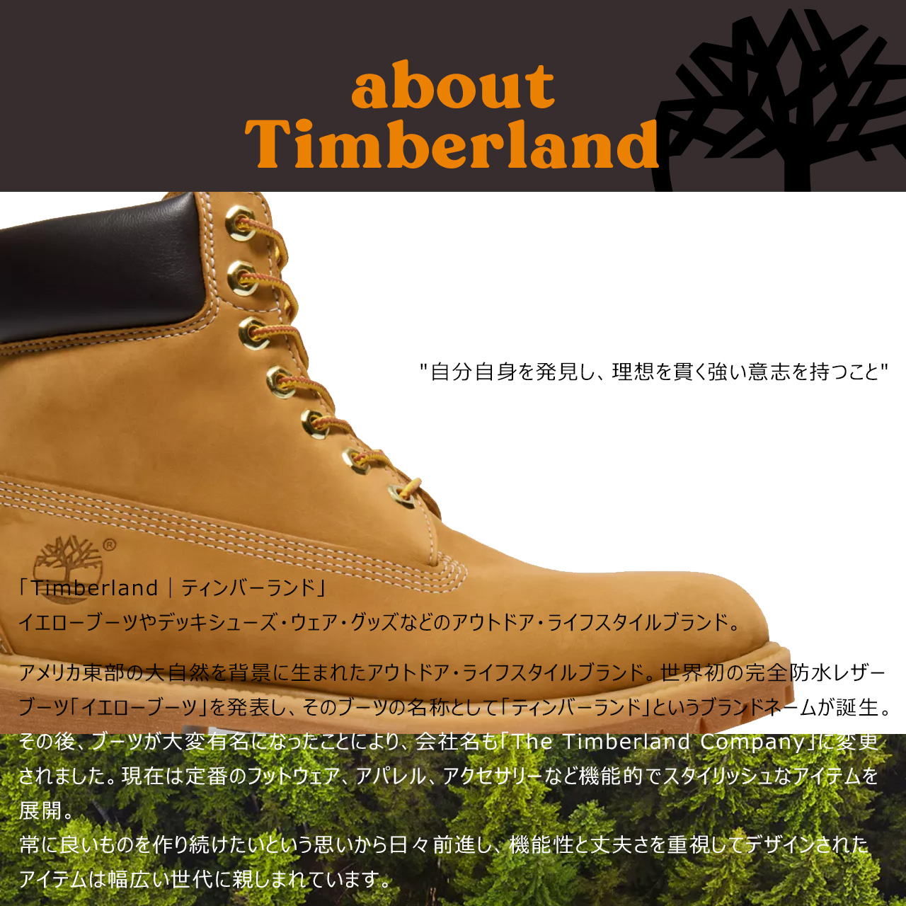 Timberland ティンバーランド ニット帽 メンズ ブランド ニット