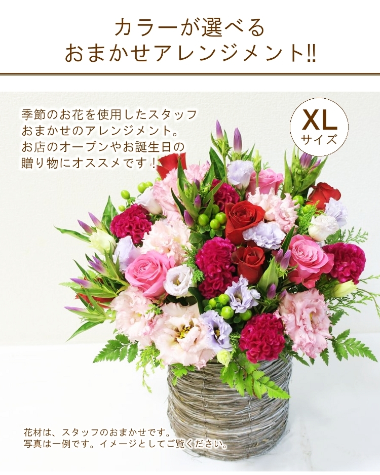 アレンジメント「カラー指定おまかせアレンジメントXL」 誕生日 生花