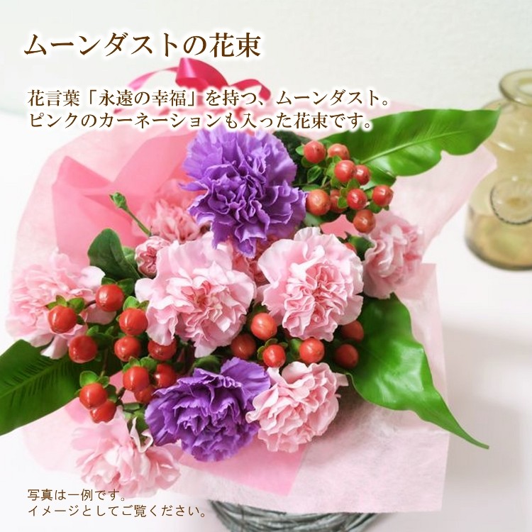 花束 ムーンダストの花束 誕生日 花 プレゼント ギフト お祝い 紫 カーネーション Bu 0 フロリスト花正 通販 Yahoo ショッピング