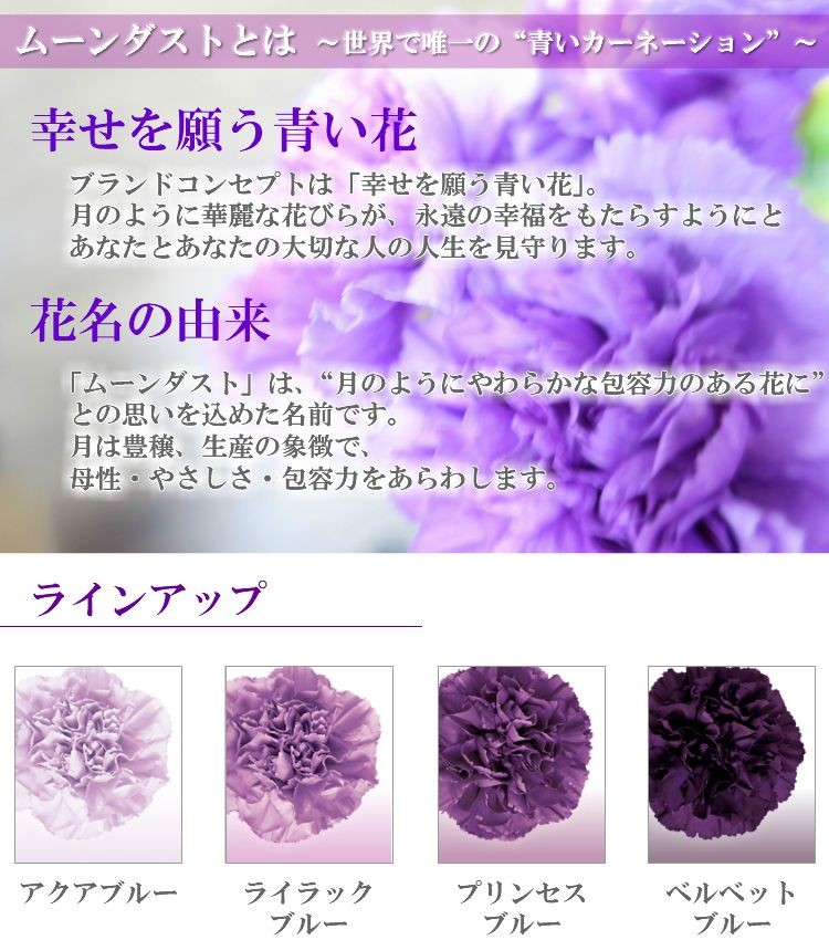 フロリスト花正 ムーンダスト Yahoo ショッピング