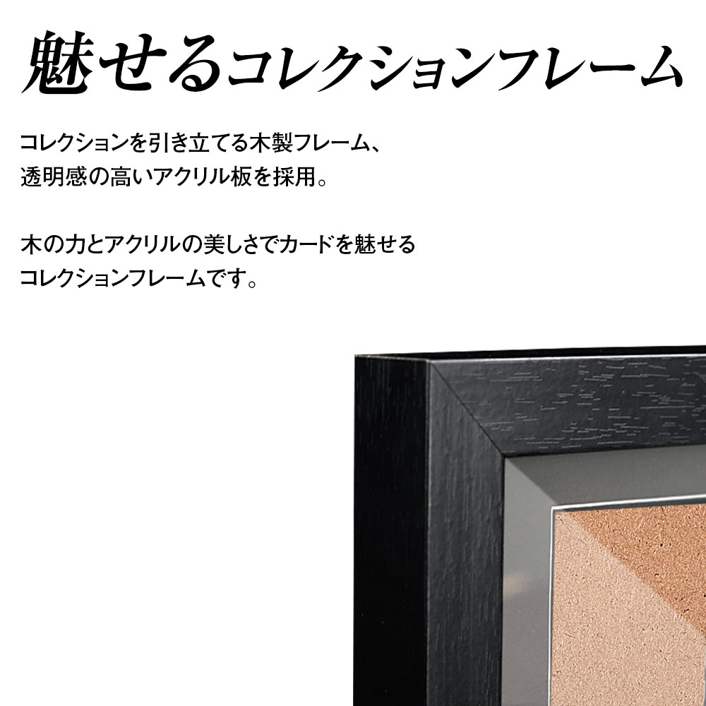 遊戯王 - psaフレーム　2枚セット Amazon.co.jp: ホゴダス コレクション フレーム PSA マグネット