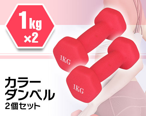 ダンベル 2個セット 鉄アレイ 8kg 筋トレ 筋力 トレーニング