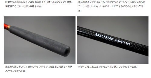 DAIWA（ダイワ） アナリスター アカムツ S‐195 : フィッシング