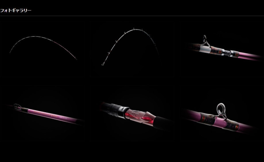 DAIWA（ダイワ） 21リーオマスター SX 真鯛 S-300・N : フィッシング