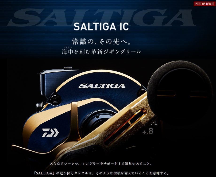 DAIWA（釣り） ダイワ 21ソルティガ IC 300H-SJ : フィッシング
