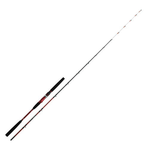 DAIWA（ダイワ） アナリスター マルイカ ゼロテン : フィッシング