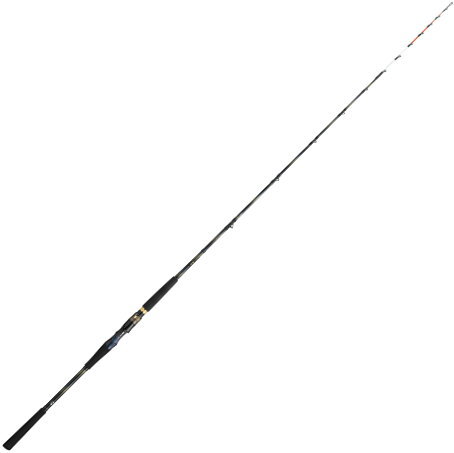 DAIWA（ダイワ） 極鋭 LG EX 82MH−175 : フィッシング