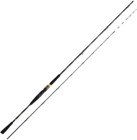 DAIWA（釣り） ダイワ 極鋭 LG 73H-180 : フィッシング カンパイ