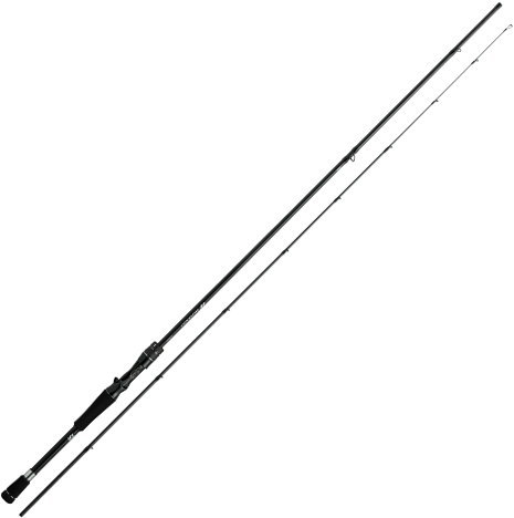 DAIWA（ダイワ） オーバーゼア EX 109ML/M : フィッシング カンパイ