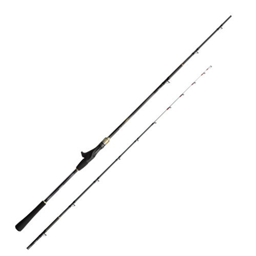 シマノ シマノ 20シーマイティ X TYPE64 30-240 : フィッシング