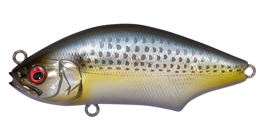 29g（魚種：シーバス）のおすすめ人気商品一覧 通販 - Yahoo!ショッピング