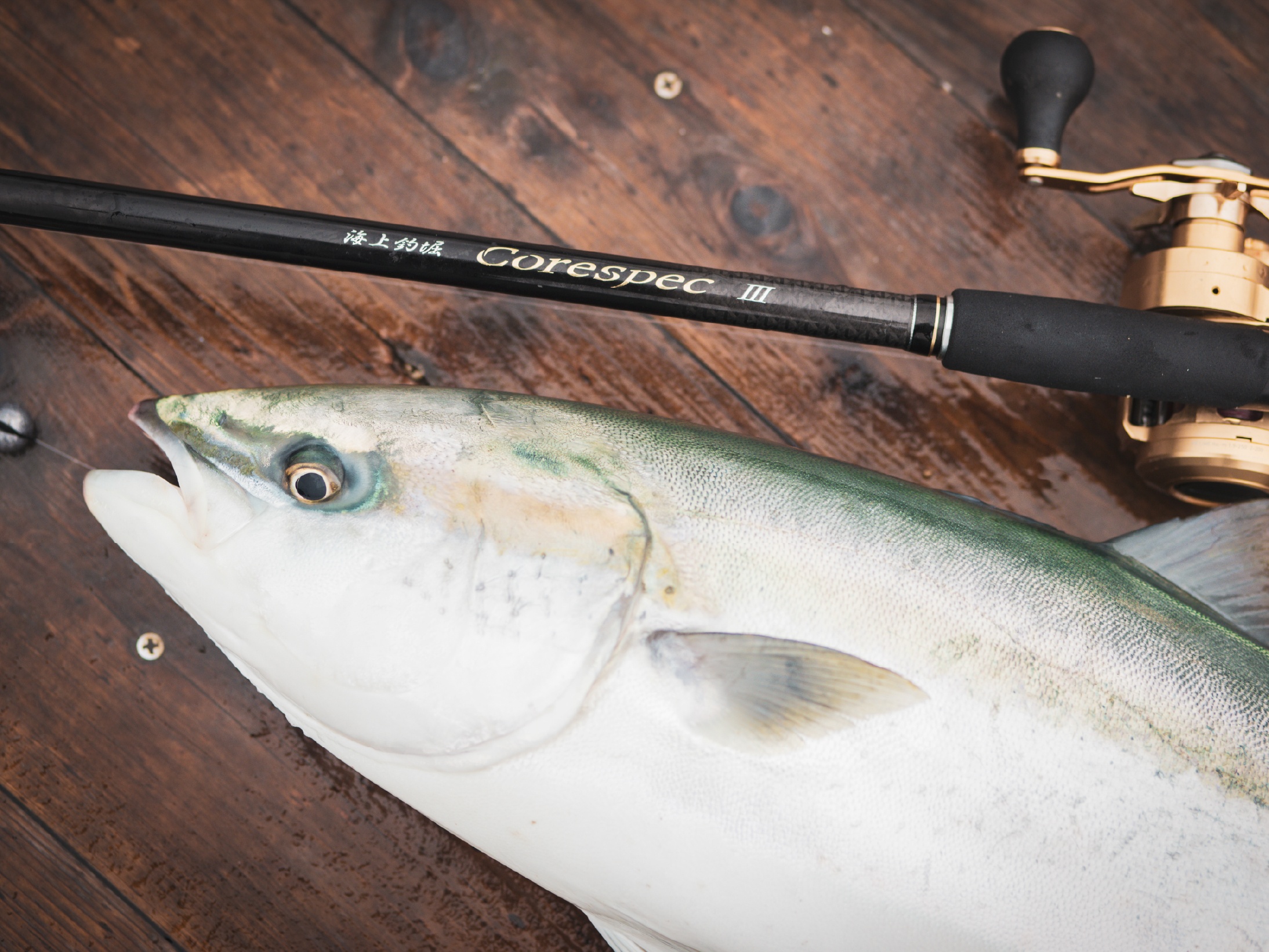 Gamakatsu（がまかつ） (2026年新製品)がまかつ/Gamakatsu 海上釣堀